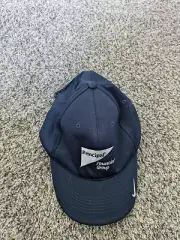 Nike Golf Hat Flexfit Large / XL Men's Blue Principal Financial NWT