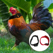 4pcsduck collar no crow rooster collar crowing collar Rooster Quiet Collar