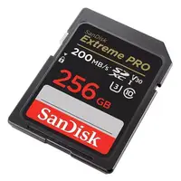 在飛比找PChome24h購物優惠-SanDisk 256GB 256G SDXC【200MB/