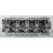 Nason Cylinder Head - Bare - 909518