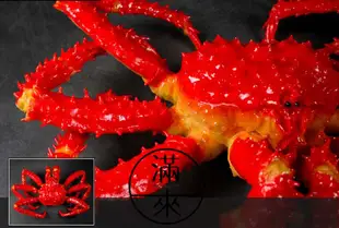 仿真帝王蟹模型【奇滿來】螃蟹模型 火鍋店 日本料理店 海產店櫥窗裝飾道具展示 食物拍攝 海鮮類模型 食物模型玩具BDBK