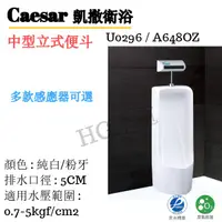 在飛比找蝦皮購物優惠-🔸HG水電🔸 Caesar 凱撒衛浴 中型立式便斗 U029