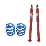 Rear Sport Low Gabriel Guardian Shocks + Lovells Springs for Holden Commodore VZ