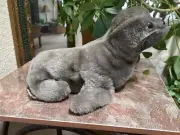 Vintage 1976 Dakin Gray Seal 9" Plush Stuffed W/Ground Nuts Nature Babies