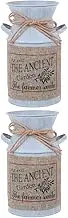 2 pcs Drum Lip Gloss Container Rustic Wedding Decor Home Decoration Rustic Pitcher Jug Decorative Rustic vases Metal Plant vase Vintage Flower Bucket Iron Flower Bucket Flower Pot