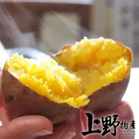 在飛比找momo購物網優惠-【上野物產】選用台農57號 冰烤地瓜10包(500g±10%