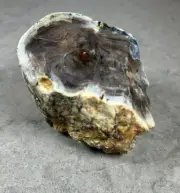 Opal Wood Petrified Wood Polished Face Lapidary Specimen Oregon Blue Mountains
