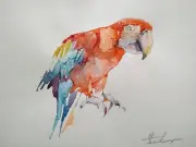 Parrot, Birds, Watercolor artwork, Handmade, Original painting on paper