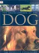 Encyclopedia of the Dog ― The Definitive Visual Guide