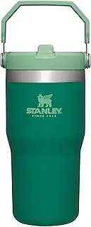 [STANLEY] IceFlow Flip Straw Tumbler with Handle 20 oz | Twist On Lid and Flip Up Straw | Leak Resistant Water Bottle | Insulated Stainless Steel |BPA-Free | Alpine