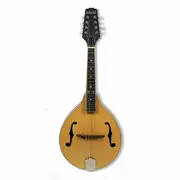 Axiom Mandolin - A Style