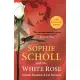 Sophie Scholl and the White Rose