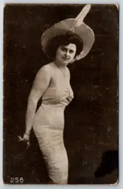 c1900s UDB Beautiful Woman Posing Dress Large Hat