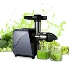 Juicer, Slow Juicer Cold Press, 250W Masticating Juicer Machine for Vegetables a