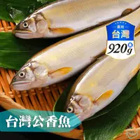 在飛比找生活市集優惠-【主廚市集】台灣公香魚(920g±10%/10尾裝)