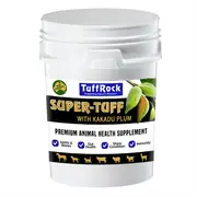 Tuffrock Super Tuff 10Kg