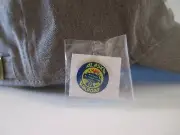 Alaska RAILROAD Pin (p) McKinley National Park Route HAT Pin LAPEL Pin