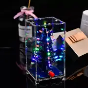 DIY 3D LED Christmas Tree Circuit Kit Glitter Electronic Learning Set+Shell USA