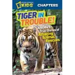 TIGER IN TROUBLE!: AND MORE TRUE STORIES OF AMAZING ANIMAL RESCUES