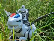 Dinosaur Toys Remote Control Robot Smart Walking Singing RC Christmas Gift UK RC