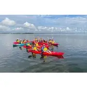 Save 9.99%! Indian River Clear Bottom Kayak or Paddleboarding Manatee and Dolphin Tour