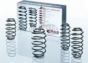 [Eibach] E10-25-022-02-22 Performance Pro-Kit Springs