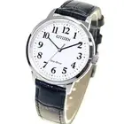 Japan NEW Citizen Watch BJ6541-15A Collection Eco-Drive Waterproof