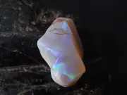 Australian Opal Natural Polished Multi Fire Rough Slice/24X16X10 MM