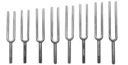 Eisco Labs Scientific Steel Tuning Forks, Set of 8 (Scientific Pitch, C4 = 25...