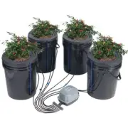DWC Hydroponics Deep Water Culture Grow System 4 Bucket Drip Kit