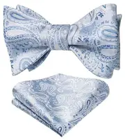 Bow Ties for Men Paisley Bowties Mens Self Tie Bow Tie One Size Silver / Blue