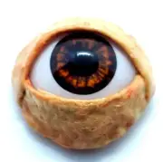 Halloween Prop Realistic Life Size Eye DOT third eye, masks, Crystal Brown