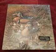 Springbok 500 Piece Jigsaw Puzzle "Family Outing" Factory Sealed
