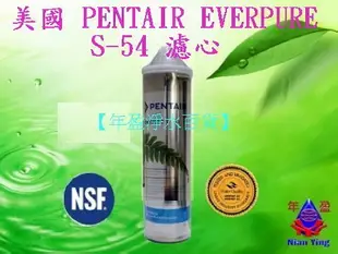 【年盈淨水百貨】美國 PANTAIR  EVERPURE S-54 濾心 (平行輸入品)