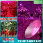 LED植物補光燈 植物燈 植物燈泡 植物補光燈 全光譜燈泡 E27植物燈泡 臺現 新款免運