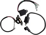 TIHEFA Ignition Coil, For Yamaha, for ET950 ET650 Magneto Ignitor, For Generator Tiger 650 W 950 W 1000 W 1KW, for Generator Spare Parts Grass Trimmer Ignition Coil (Color : 3pcs per set)