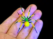 Uranium Vaseline Spider Limited Layered Glass In Stock Now !