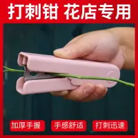 在飛比找樂天市場購物網優惠-打刺鉗玫瑰打刺鉗玫瑰去刺器玫瑰花打刺器花店鮮花去刺寶去刺工具