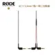 RODE SC11 3.5mm Y型一對二分軌線