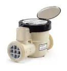 Pentair iChlor 30 Salt Chlorine Generator 523009 - Cell and Unions - 30K gallons
