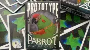 Parrot Prototype Playing Cards by Renee LeCompte
