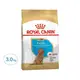 ROYAL CANIN 法國皇家 BHN PDP 貴賓幼犬專用飼料