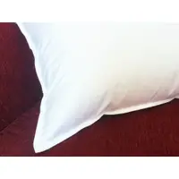 在飛比找蝦皮購物優惠-全新 ~ 五星級飯店專用~台灣製造羽絨枕(75公分*48公分