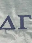 NEW Pottery Barn Dorm Sweet Velvet Pillow Cover Sorority DELTA GAMMA