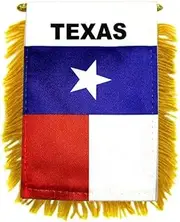 Texas flag Mini Banner Country Pride Car Display
