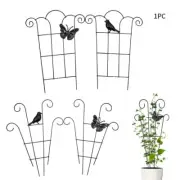 Efficiently Guide the Growth of Your Climbing Plants with Support Frame