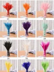200pcs Dyed and Bleached Peacock-Feathers-10-12 inches Multicolors