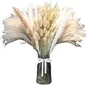 Dried Pampas Grass Decor - 100 Stems Pampas Grass Contains Bunny Tails Dried Flowers | Reed Grass Bouquet for Wedding Boho Flowers Home Table Decor | Vase Dried Flower Bouquet for Wedding Decor