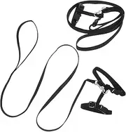 GALPADA 2pcs Adjustable Cute Cat Harness and Leash Ergonomic Wear Resistant Kitten Walking Rope Comfortable Shaped Design for Small Cats for Convenient