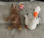 Ty Beanie Baby - Pecan The Bear Beanbag Plush & Gracie the Swan